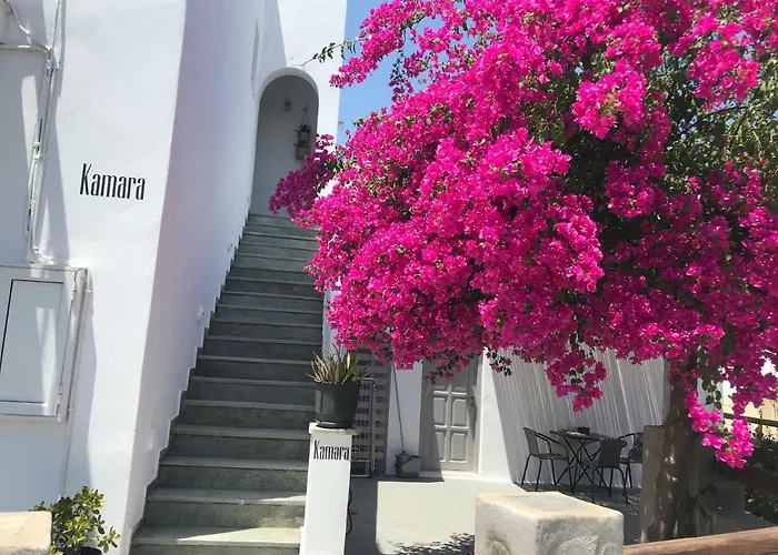 Kamara In * נאוסה